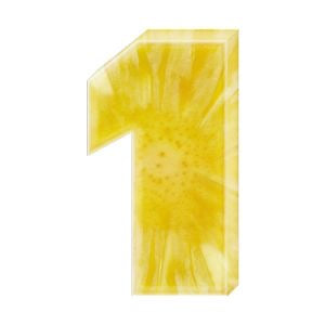 Edible Pineapple Numbers